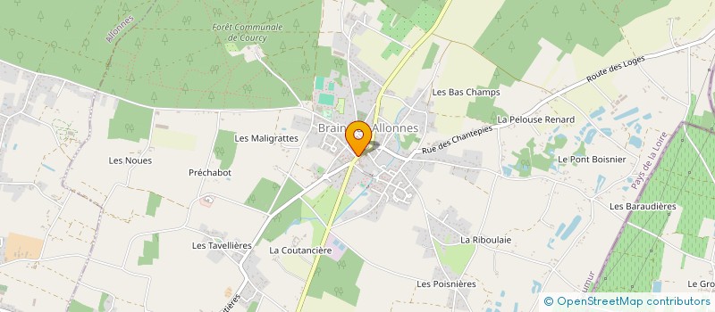 localisation de l'entreprise MADAME SOPHIE FOUILLAT  BRAIN-SUR-ALLONNES