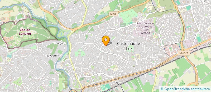 localisation de l'entreprise MADAME SOPHIE GALANAKIS  CASTELNAU-LE-LEZ