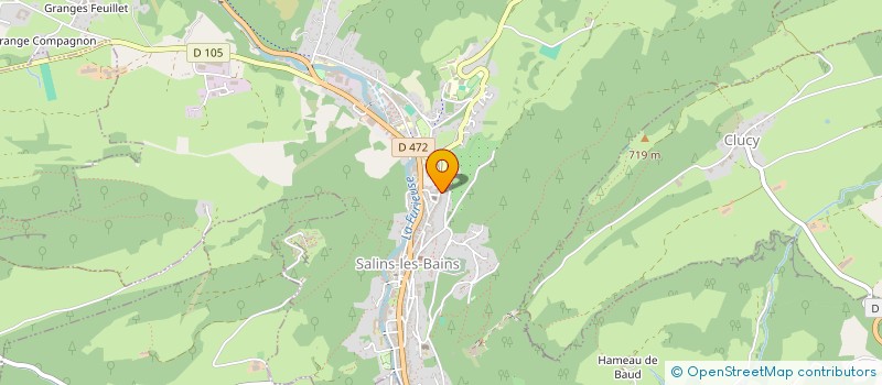 localisation de l'entreprise MADAME SOPHIE HALDAS  SALINS-LES-BAINS