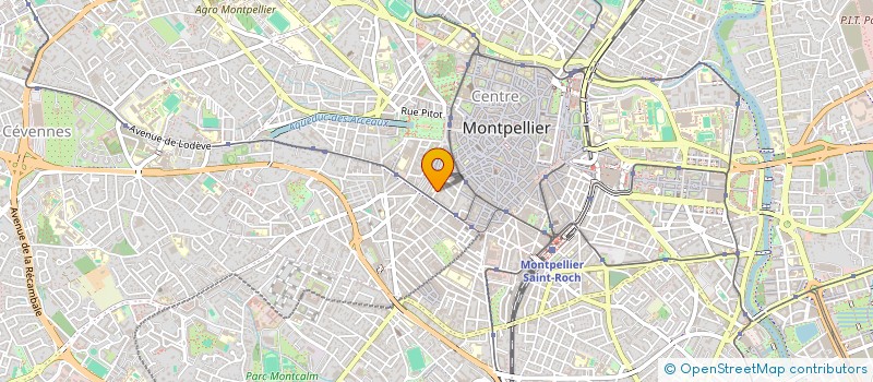 localisation de l'entreprise MADAME SOPHIE JOUANIN à MONTPELLIER