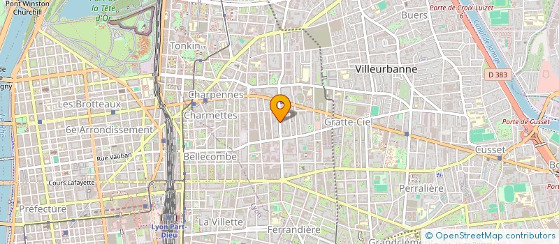 localisation de l'entreprise MADAME SOPHIE KADOUZ  VILLEURBANNE