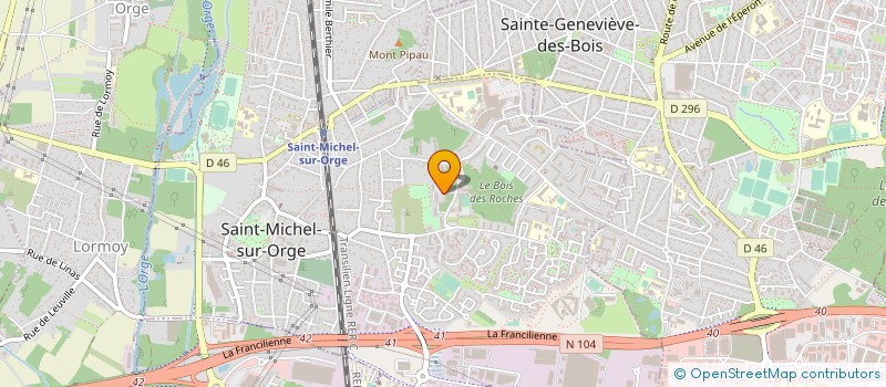 localisation de l'entreprise MADAME SOPHIE LISONGO-YAZOKANDO  SAINT-MICHEL-SUR-ORGE