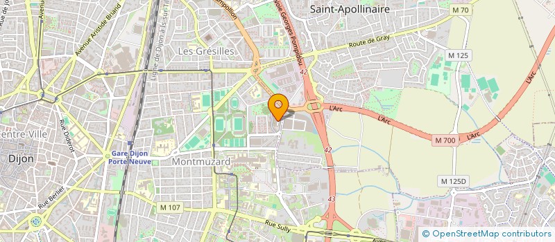 localisation de l'entreprise MADAME SOPHIE MALVICHE  DIJON