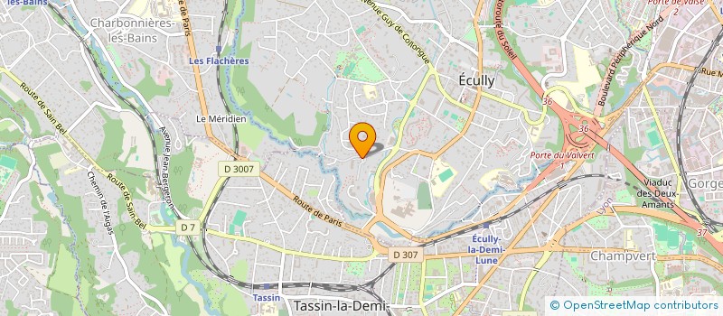 localisation de l'entreprise MADAME SOPHIE MICHEL à ECULLY