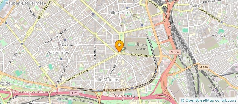 localisation de l'entreprise MADAME SOPHIE MICHEL à LILLE