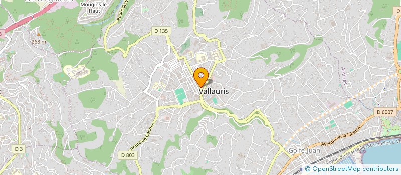 localisation de l'entreprise MADAME SOPHIE NICOLAS  VALLAURIS