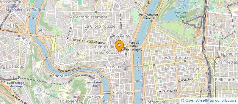 localisation de l'entreprise MADAME SOPHIE PAUMELLE à LYON