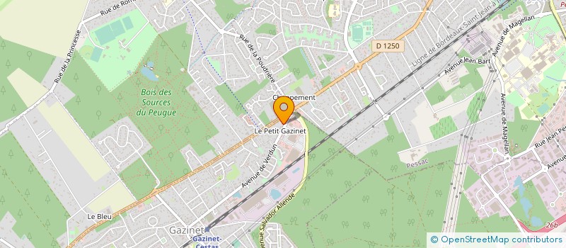 localisation de l'entreprise MADAME SOPHIE PICARD  CESTAS