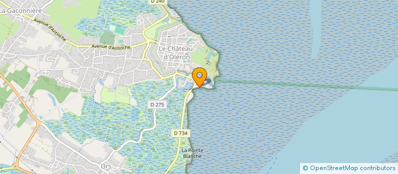 localisation de l'entreprise MADAME SOPHIE PLUCHON  LE CHATEAU-D'OLERON