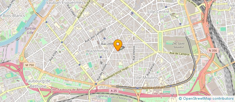 localisation de l'entreprise MADAME SOPHIE PUTMAN à LILLE