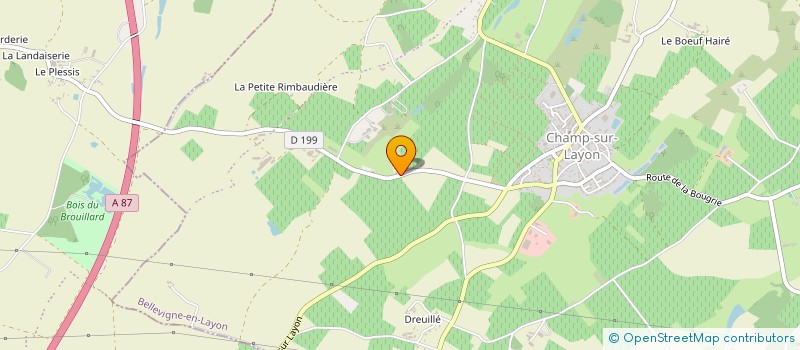 localisation de l'entreprise MADAME SOPHIE RAIMBAULT  BELLEVIGNE-EN-LAYON