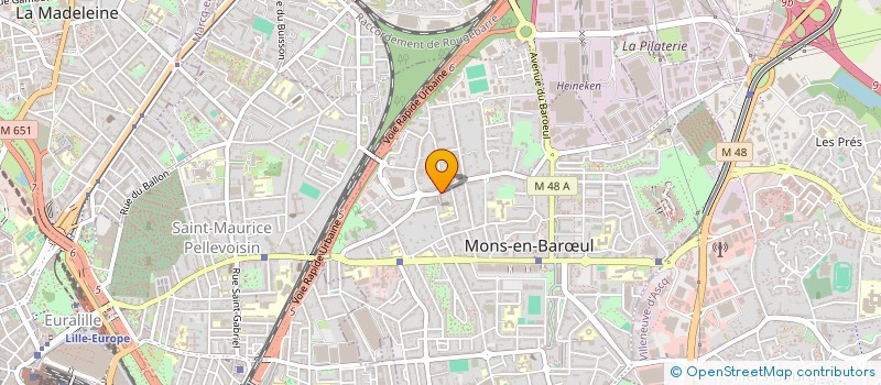 localisation de l'entreprise MADAME SOPHIE RAVEZ-HOUZE  LILLE