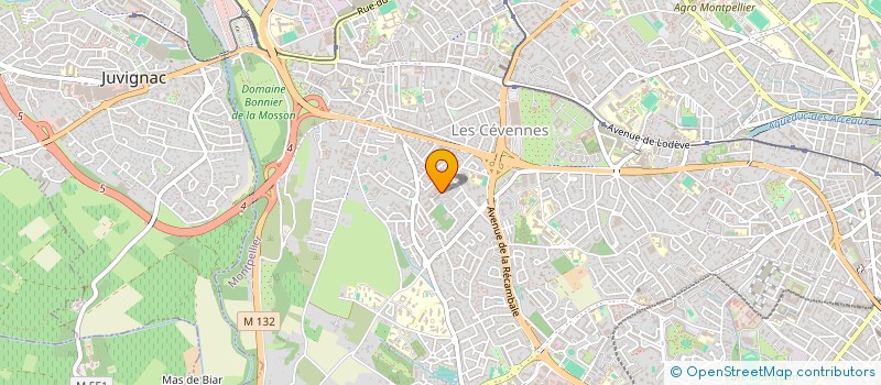 localisation de l'entreprise MADAME SOPHIE REYNAUD à MONTPELLIER