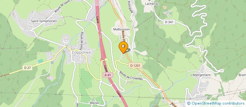 localisation de l'entreprise MADAME SOPHIE SCHVARTZ  COPPONEX