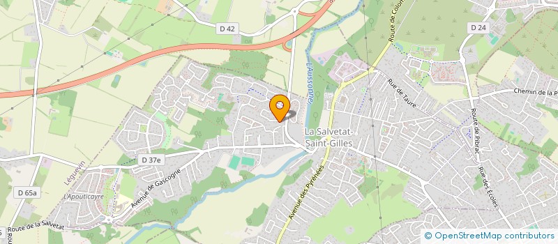 localisation de l'entreprise MADAME SOPHIE SCHWASSMANN  LA SALVETAT-SAINT-GILLES