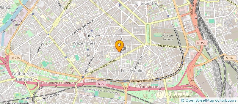 localisation de l'entreprise MADAME SOPHIE SHERMAN à LILLE