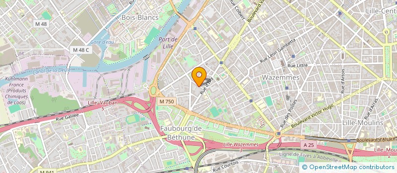 localisation de l'entreprise MADAME SOPHIE TAIEB à LILLE