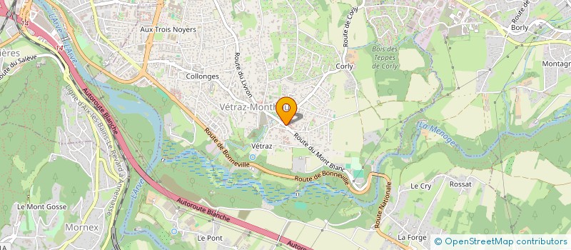 localisation de l'entreprise MADAME SOPHIE TEIBI  ANNEMASSE