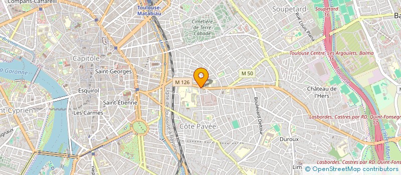 localisation de l'entreprise MADAME SOPHIE THELLIER à TOULOUSE