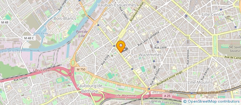 localisation de l'entreprise MADAME SOPHIE THOLLIEZ à LILLE