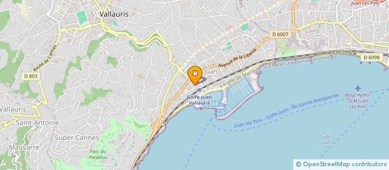 localisation de l'entreprise MADAME SOPHIE ZIRNSTEIN  VALLAURIS