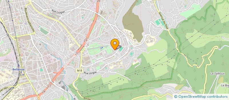 localisation de l'entreprise MADAME SOPIO CHKHITUNIDZE  SAINT-ETIENNE