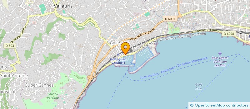 localisation de l'entreprise MADAME SORAYA BEL HADJ à VALLAURIS