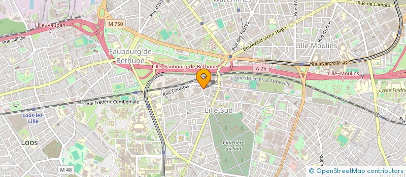 localisation de l'entreprise MADAME SORAYA BOUGHAGHA à LILLE