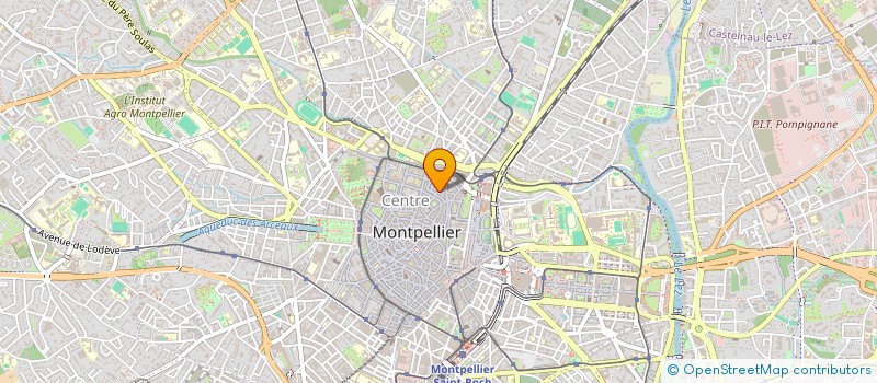 localisation de l'entreprise MADAME SORAYA EL HACHAMI à MONTPELLIER