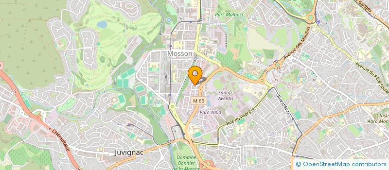 localisation de l'entreprise MADAME SORAYA TAMALLOUKTE  MONTPELLIER