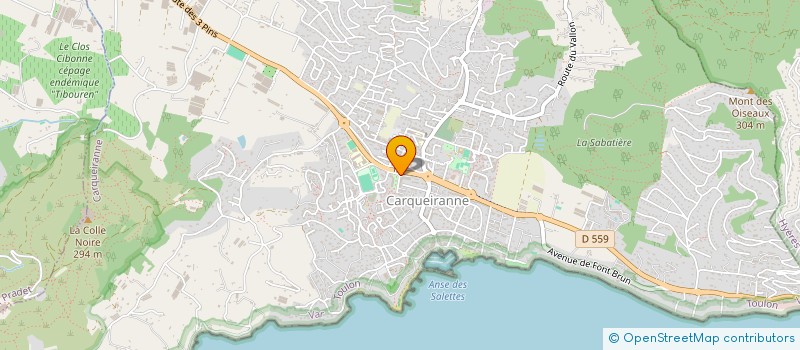 localisation de l'entreprise MADAME SOUAD SENOUSSI  CARQUEIRANNE