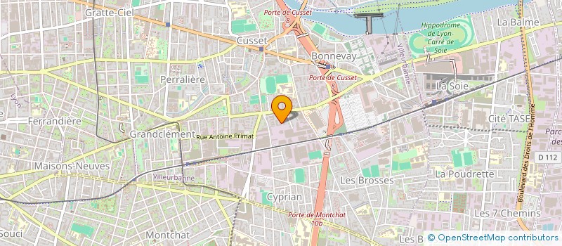 localisation de l'entreprise MADAME SOUKAINA NAZIH  VILLEURBANNE