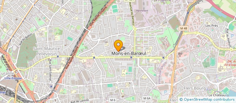 localisation de l'entreprise MADAME SOUKEINA BOHAMOUCH  MONS-EN-BARUL