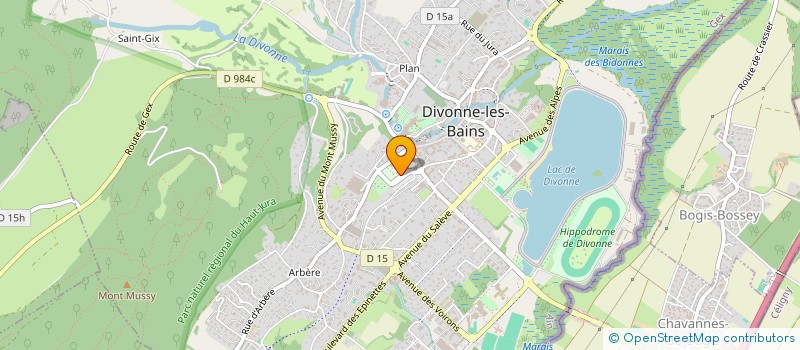 localisation de l'entreprise MADAME SOUMALY TRICHANH à DIVONNE-LES-BAINS