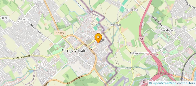 localisation de l'entreprise MADAME SOUMYA MAOULAINE  FERNEY-VOLTAIRE