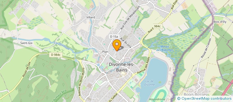 localisation de l'entreprise MADAME SOUTHIDA BOUNMASANONH à DIVONNE-LES-BAINS