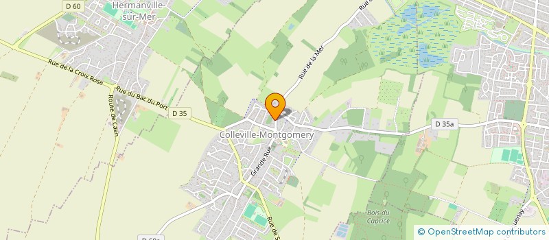 localisation de l'entreprise MADAME SOVANNA VALLEE  COLLEVILLE-MONTGOMERY