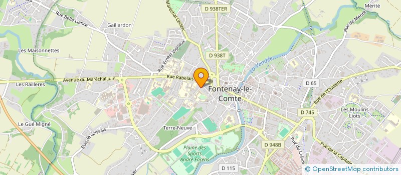 localisation de l'entreprise MADAME STELIANA-IOANA DUCA  FONTENAY-LE-COMTE