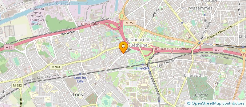 localisation de l'entreprise MADAME STEPHANE CHOPIN à LILLE