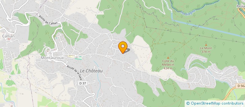 localisation de l'entreprise MADAME STEPHANIE CASTELLINO  MONTAUROUX