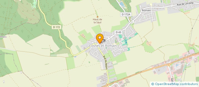 localisation de l'entreprise MADAME STEPHANIE DEMOUGEOT  COSNES-ET-ROMAIN