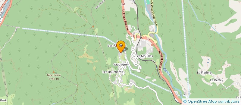 localisation de l'entreprise MADAME STEPHANIE DENIS  LES HOUCHES