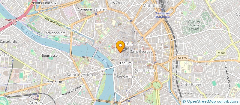 localisation de l'entreprise MADAME STEPHANIE DUPONT  TOULOUSE