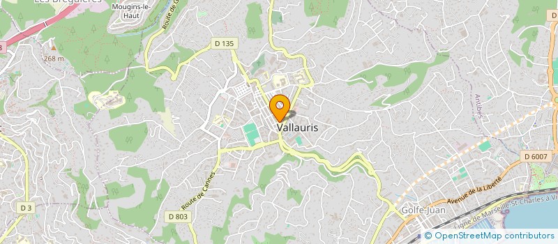 localisation de l'entreprise MADAME STEPHANIE FAURE à VALLAURIS
