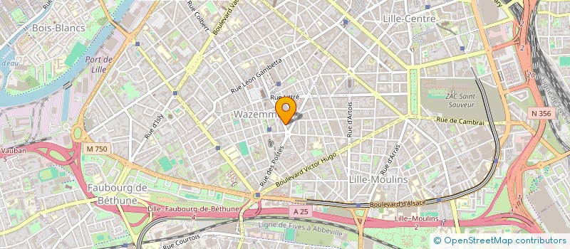 localisation de l'entreprise MADAME STEPHANIE HASSELSWEILLER à LILLE