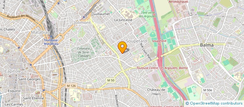 localisation de l'entreprise MADAME STEPHANIE IANNUZZI à TOULOUSE