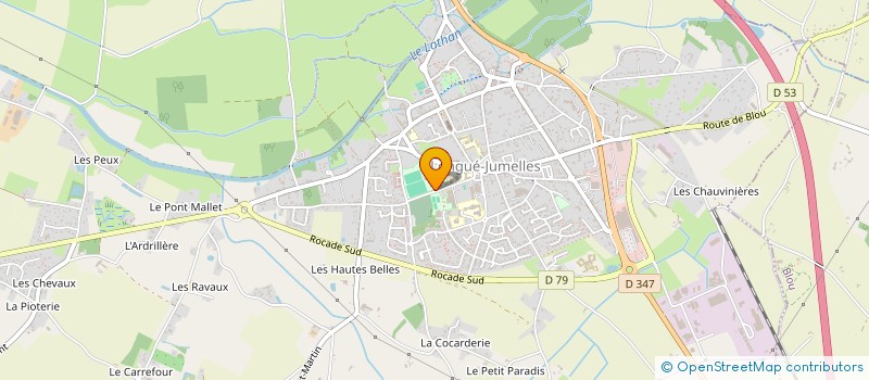 localisation de l'entreprise MADAME STEPHANIE JOUAND à GENNES-VAL-DE-LOIRE