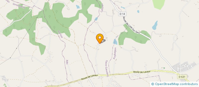 localisation de l'entreprise MADAME STEPHANIE PELISSOU  SAINT-GAUZENS