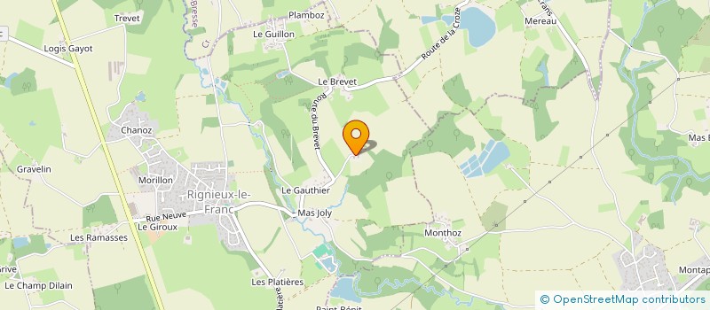 localisation de l'entreprise MADAME STEPHANIE TORNIER  RIGNIEUX-LE-FRANC