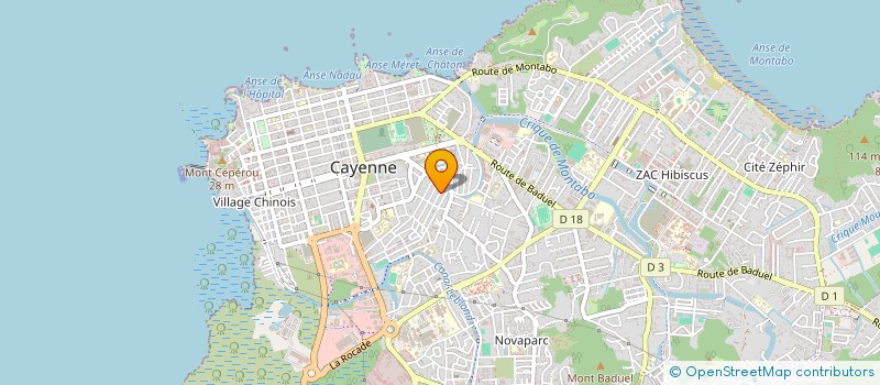 localisation de l'entreprise MADAME SUANNE SOUSA DAS CHAGAS  CAYENNE